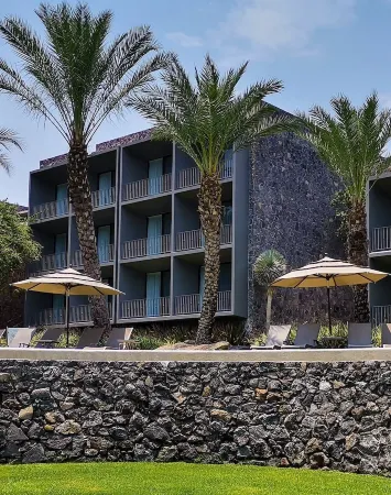 Huayacán Cuernavaca Curamoria Collection