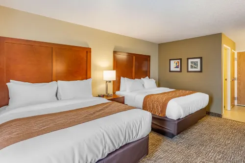 Comfort Inn DeKalb - Adjacent the University Hotels in DeKalb Township