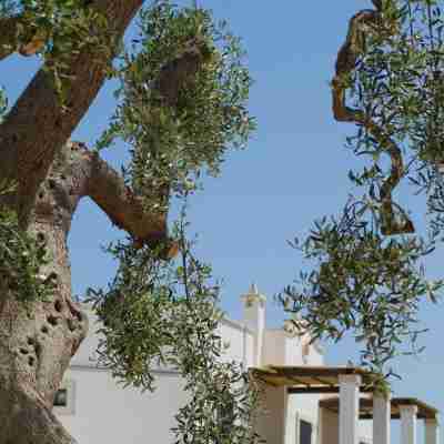 Borgobianco Resort & Spa Polignano - MGallery Hotel Exterior