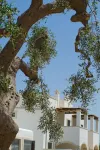 Borgobianco Resort & Spa Polignano - MGallery Hotel in zona Viewpoint of Grotta Palazzese