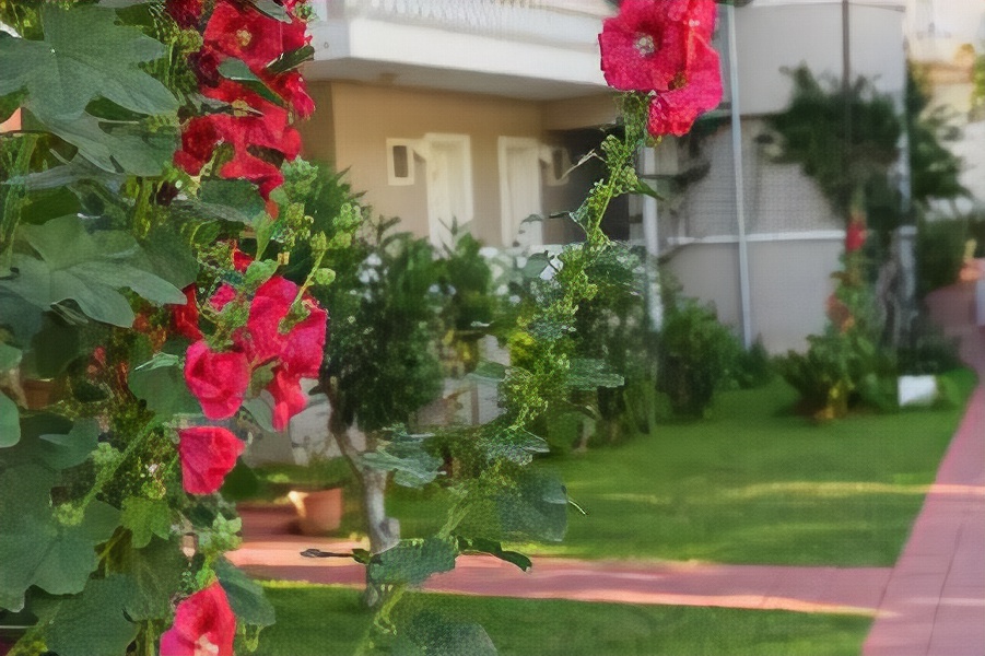 Oludeniz Turquoise Hotel