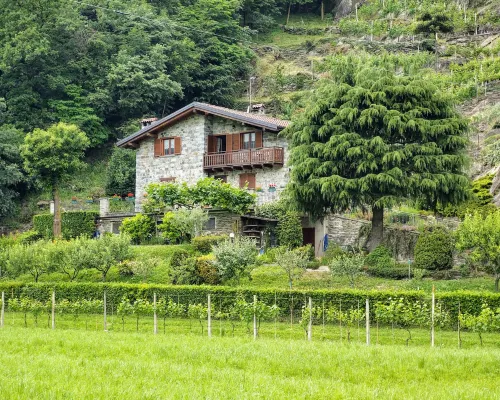 Fuentes 科利科住宿飯店