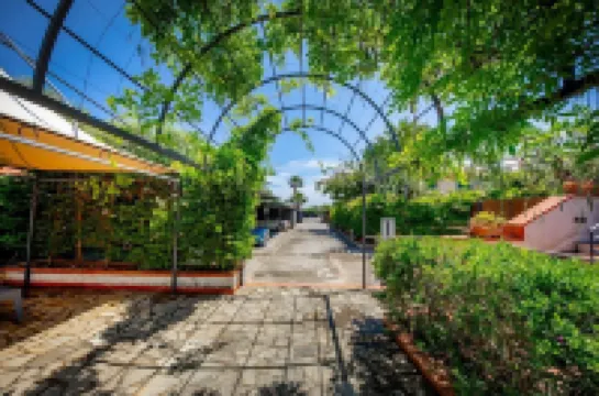 Resort Baia del Capitano Hotel