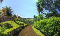 Hotel Mango Valley