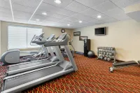 Holiday Inn Express CHICAGO-DOWNERS GROVE by IHG - gimnasio