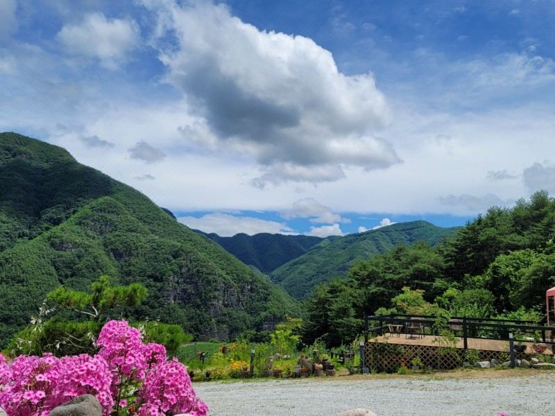 안동 산수미펜션 전경