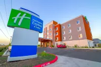 Holiday Inn Express & Suites Raymondville