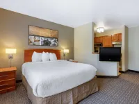 Suburban Studios Birmingham Homewood I-65 Hotels in Homewood