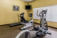 Sleep Inn & Suites Stafford - Sugarland - Gym