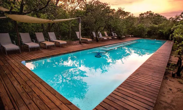 royal thonga safari lodge prices