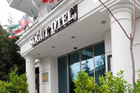 Sogut Hotel Old City