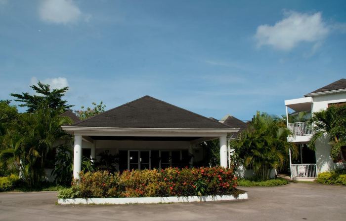 Negril Palms