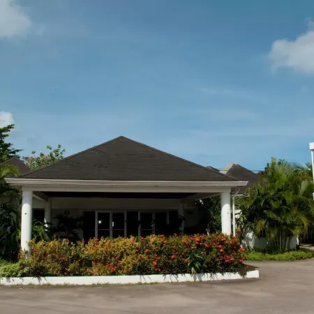 Negril Palms