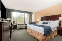 Wyndham Garden Williamsburg Busch Gardens Area Hotels in York County