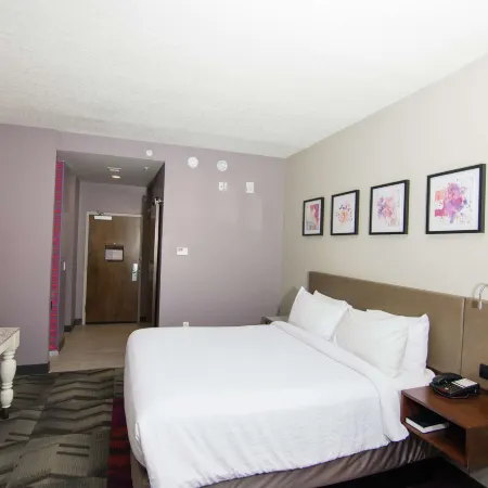 Hilton Garden Inn Tampa Suncoast Parkway
