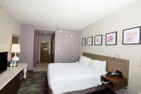 Hilton Garden Inn Tampa Suncoast Parkway - 3-Star