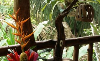 Karen Mogensen Reserve & Ecolodge - Housity