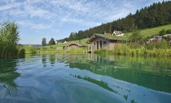 Wellness & Genuss Resort - Engel Obertal