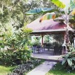 Playa Bluff Lodge Hotels in 