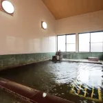 Ogano Onsen Suzaki Ryokan Hotels in Ogano