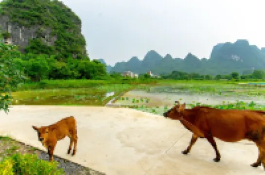 Kenneth Featured Homestay (Yamang Village)