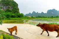 Kenneth Featured Homestay (Yamang Village)