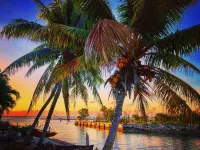 Siesta Motel Hotels in Key Colony Beach