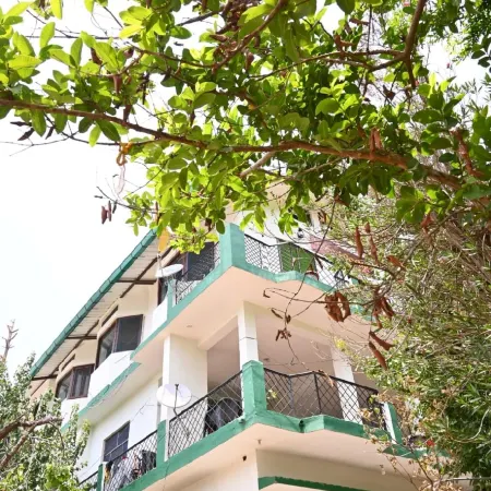 Wood Castle Luxury Home Stay