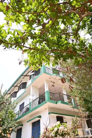 Wood Castle Luxury Home Stay Отели рядом с достопримечательностью «Golu Devta temple»