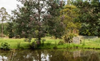 a large tree stands tall in the middle of a grassy field near a pond at Giants Table and Cottages