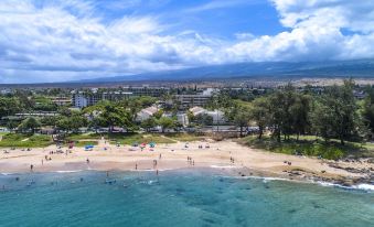 Maui Banyan