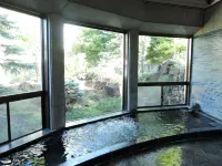Tsukidate Hanakobo Hotels in Date