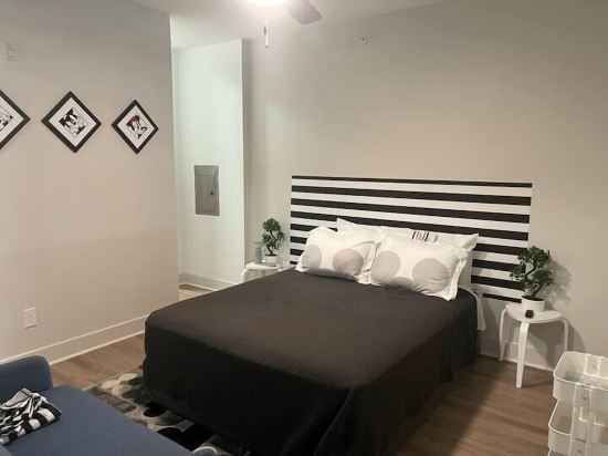 Mickey Magical 1Br Soft-Loft Deep Ellum