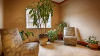 Best Western Cleveland Inn  Suites - Parkplatz