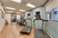 Drury Plaza Hotel St. Louis St. Charles - Gym