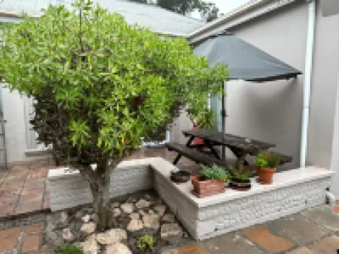 Cozy Crner Kitehouse