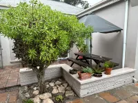 Cozy Crner Kitehouse
