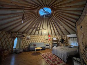 Yurt Located in a Little Oak Grove. Natural and a Private Experience.