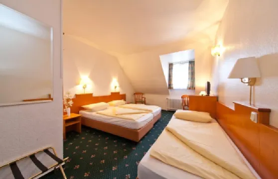 Hotel Ahl Meerkatzen Hotels in der Nähe von Farina Duftmuseum