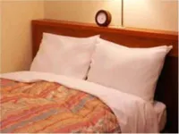 Annex Princess Hotel Hotels in Misawa