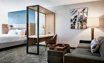 SpringHill Suites Denver Parker