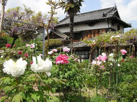 Nakagawa Ryokan Отели в г. Кудояма