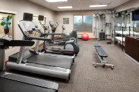 Residence Inn Chicago Lake Forest/Mettawa - Træningscentre