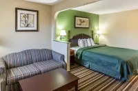 Quality Inn & Suites Macon North