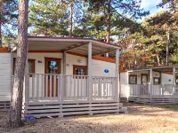 Camping Village Mare Pineta Hotels in 