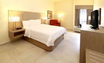 Hampton Inn by Hilton Monterrey-Airport