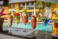 Transoceanico Praia Hotel - ที่มีบาร์