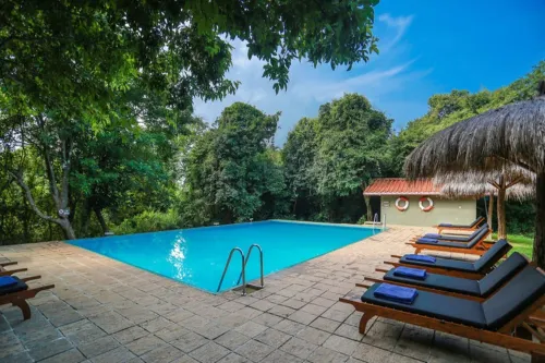 ワイルド グラス ネーチャー リゾート