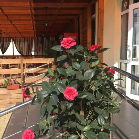 Hotel Volga Отели в г. Соль-Илецк