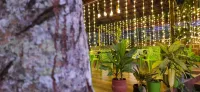 Marari Sea Scape Homestay فنادق في Mararikulam
